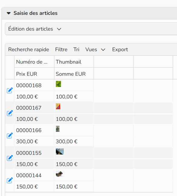 Capture d'écran montrant un exemple de vue à plusieurs lignes