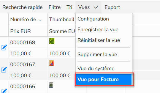 Capture d'écran du menu Vues. La vue enregistrée est mise en évidence.