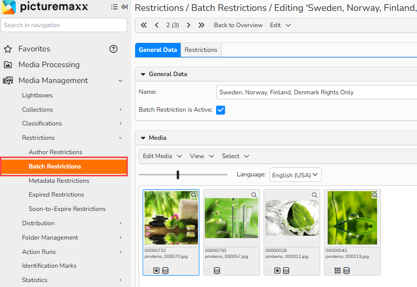 The screenshot shows the setup window of a batch restriction in the Media Management area.