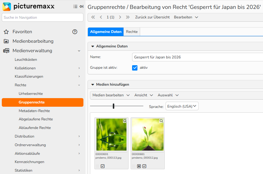 Der Screenshot zeigt das Einrichtungsfenster eines Gruppenrechtes im Bereich Medienverwaltung.
