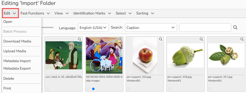 Screenshot of an Editing Import Folder window showing the top menu options. The Edit menu is highlighted, showing commands to upload, download, import, export, and print media.
