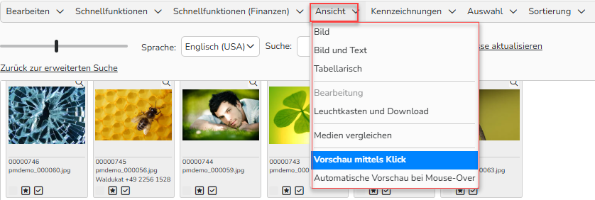 Screenshot des Fensters zum Bearbeiten des Importordners mit den Optionen des oberen Menüs. Das Menü „Ansicht“ ist hervorgehoben mit den verschiedenen Möglichkeiten zur Darstellung von Medien.