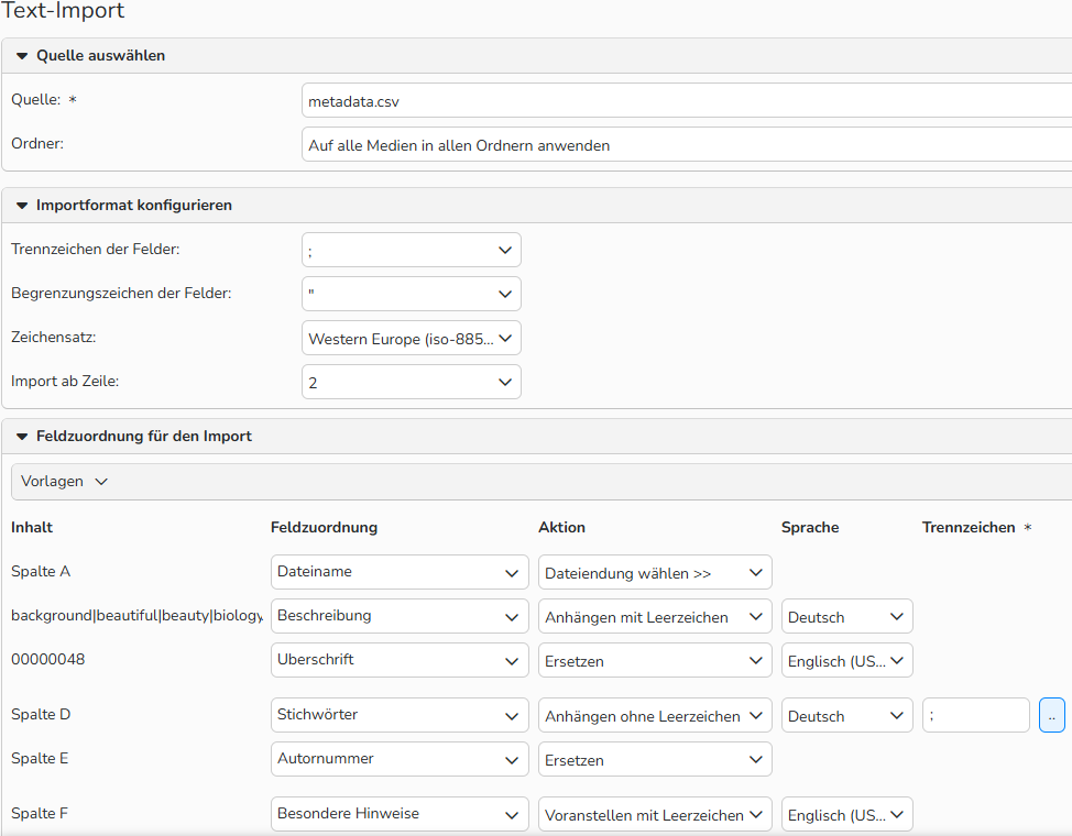 Ein Screenshot des Fensters „Metadaten importieren“. Es zeigt Optionen zur Konfiguration des Importformats und der Feldzuordnung für den Import an.