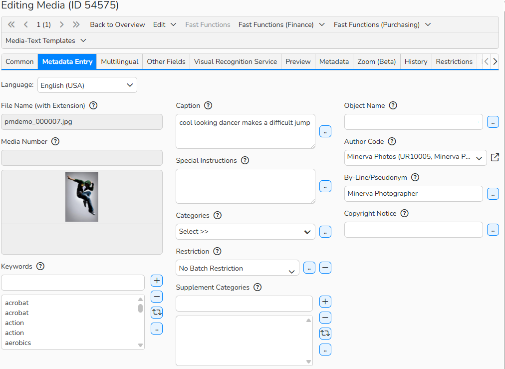 A screenshot of the Edit Media window showing metadata labeling fields, top menu and tabs to support media processing.