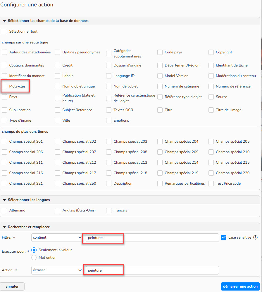 Capture d'écran montrant comment rechercher et replacer le mot-clé Peintures par le mot-clé Peinture