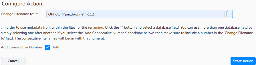 A screenshot of the Rename Filename setup dialog showing how to rename selected files. The Add Consecutive Number option is active.