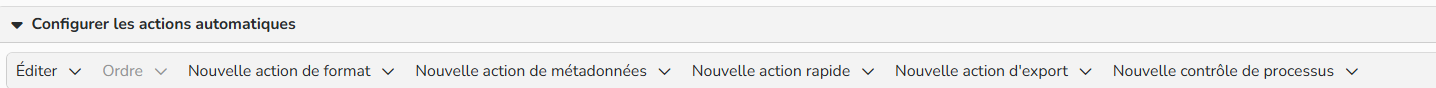 Capture d'écran du menu d'en tête dans la zone de configuration de l'action automatique