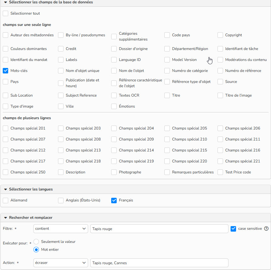 Capture d'écran montrant comment configurer l'action rechercher et remplacer.