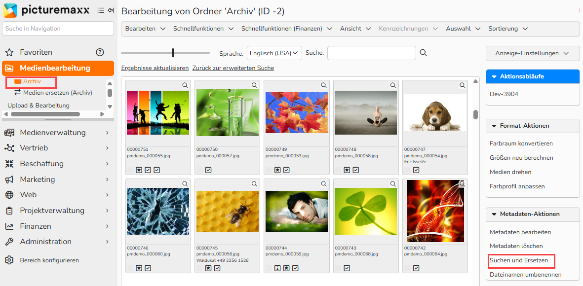 Screenshot des Archivordners mit Suchergebnissen und dem Menü Aktionsläufe auf der rechten Seite, das die für diesen Ordner verfügbaren Aktionen auflistet. Die Menüoption der Metadatenaktion Suchen und Ersetzen ist hervorgehoben.