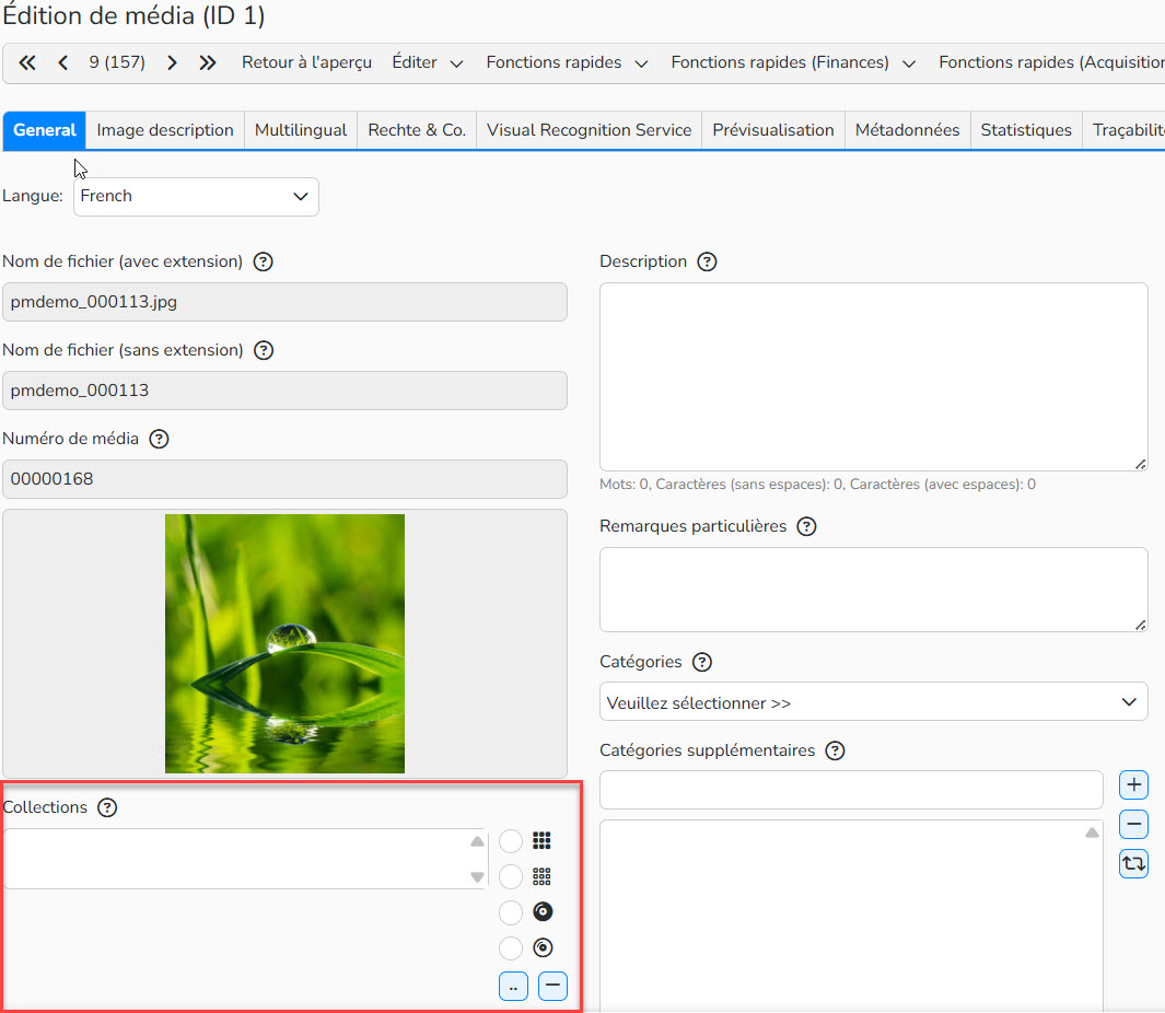 Capture d'écran mettant en évidence le champ Collections dans le masque d'édition des médias