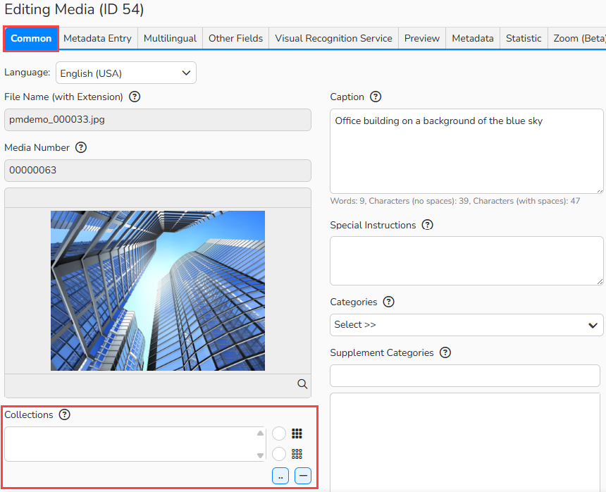 Screenshot of an Editing Media window showing the Common labeling mask with the Collection field.