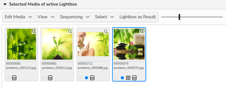 Screenshot of a lightbox showing media files added for future use, along with menu options for managing the images.