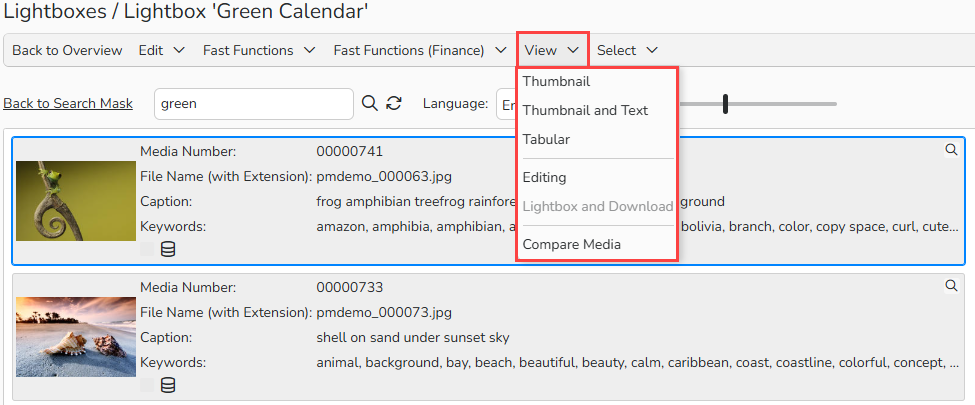 A screenshot of a lightbox and its View menu showing available file display options as well as Editing and Compare Media options.