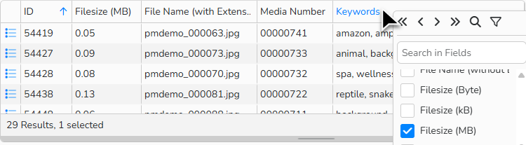 A screenshot of the table display of images showing how to display more columns by selecting available database fields.