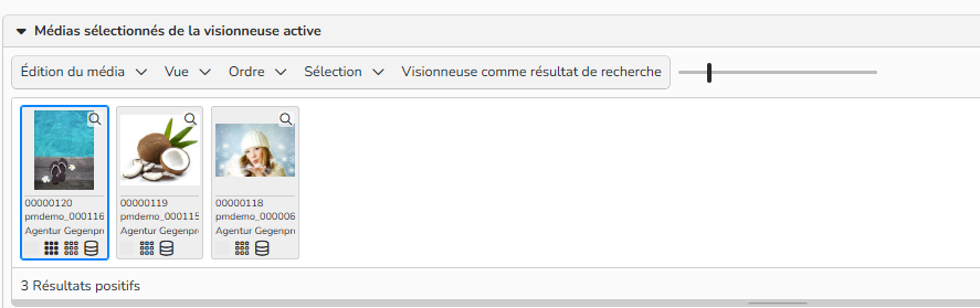 Capture d'écran montrant les médias d'une visionneuse