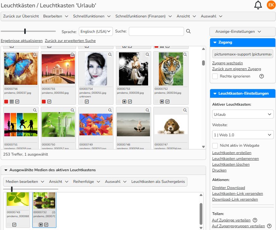 Screenshot eines Leuchtkastens, der ausgewählte Bilder enthält und verfügbare Leuchtkasten-Funktionen anzeigt, darunter Optionen zum Herunterladen und Teilen.