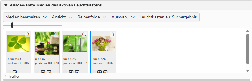 Screenshot eines Leuchtkastens, der Mediendateien zeigt, die für die zukünftige Verwendung hinzugefügt wurden, zusammen mit Menüoptionen zur Verwaltung der Bilder.