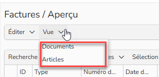 Capture d'écran mettant en évidence le menu Vue (documents, articles)