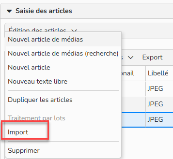 Capture d'écran mettant en évidence le Menu Edition des articles / Import