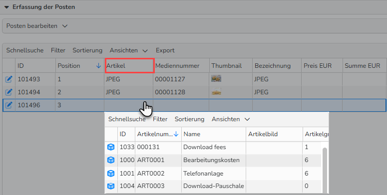Screenshot des Bereichs Erfassung der Posten. Es sind UI‑Elemente hervorgehoben, die zeigen, wie man nicht-mediale Artikel (Dienstleistungen) zu einer Rechnung hinzufügt.
