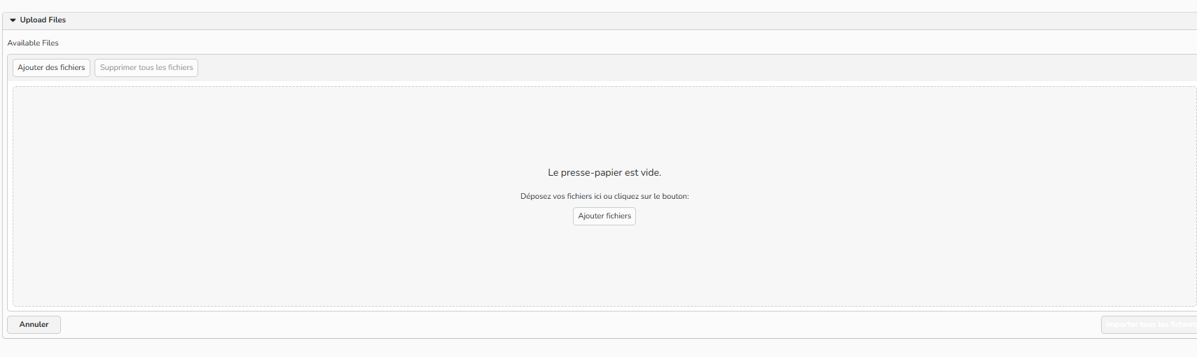 Capture d'écran montrant comment importer un logo