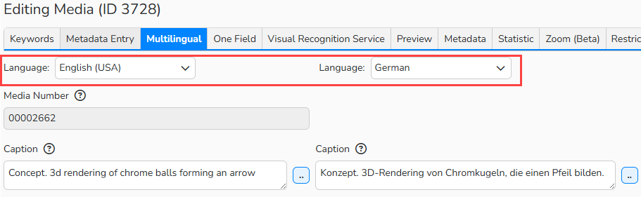 Screenshot of the Editing Media window in Media Processing, showing a multilingual metadata form with options to label an image in English and German. The dropdown menus for the selected languages are highlighted.