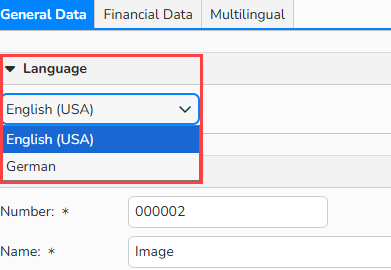 Screenshot of an Item Group setup window in the Finance module with the drop-down to select languages highlighted.