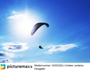 Screenshot of a logo line containing a picturemaxx logo and image details under a preview image.