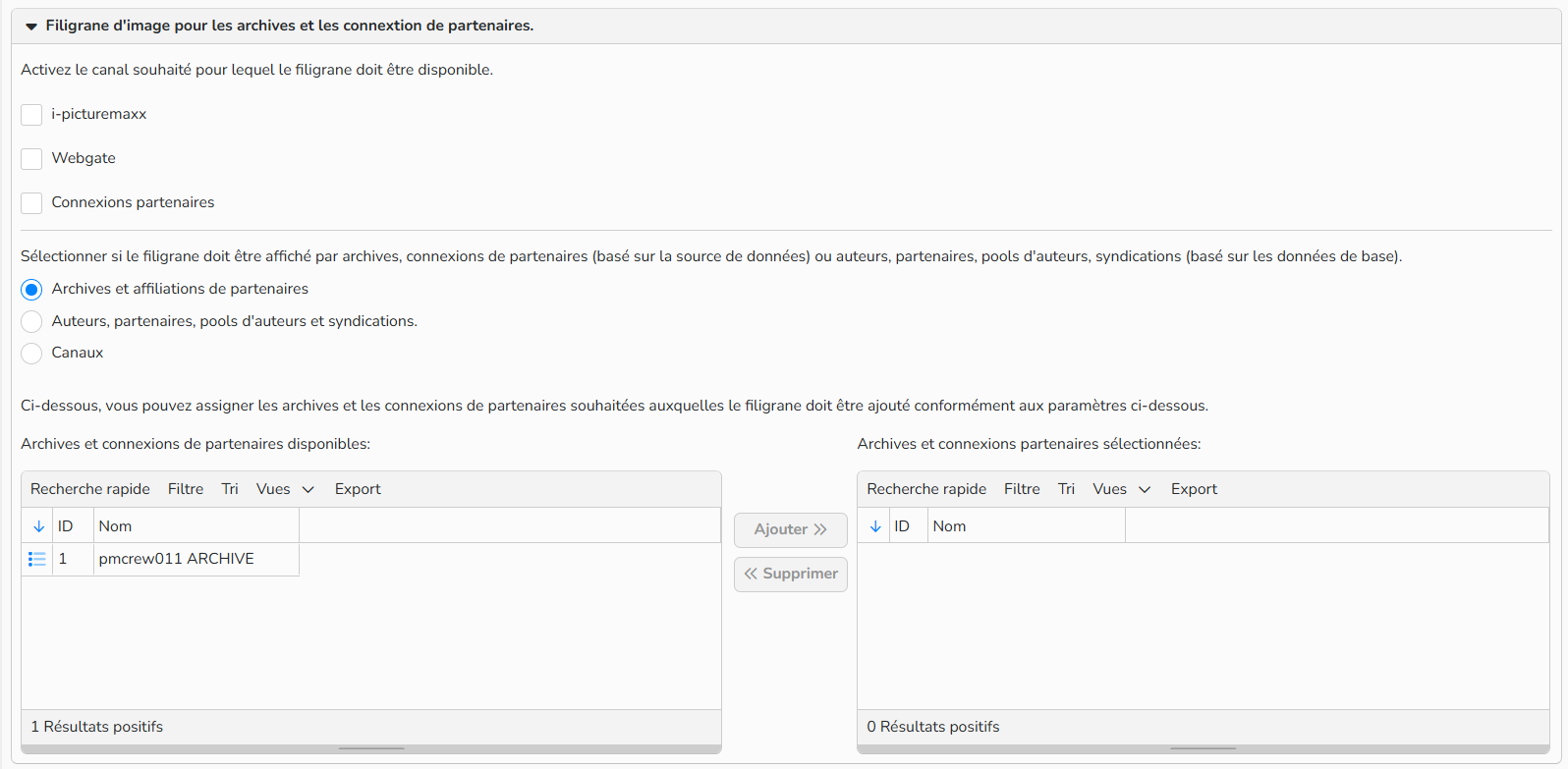 Capture d'écran montrant comment configurer un filigrane
