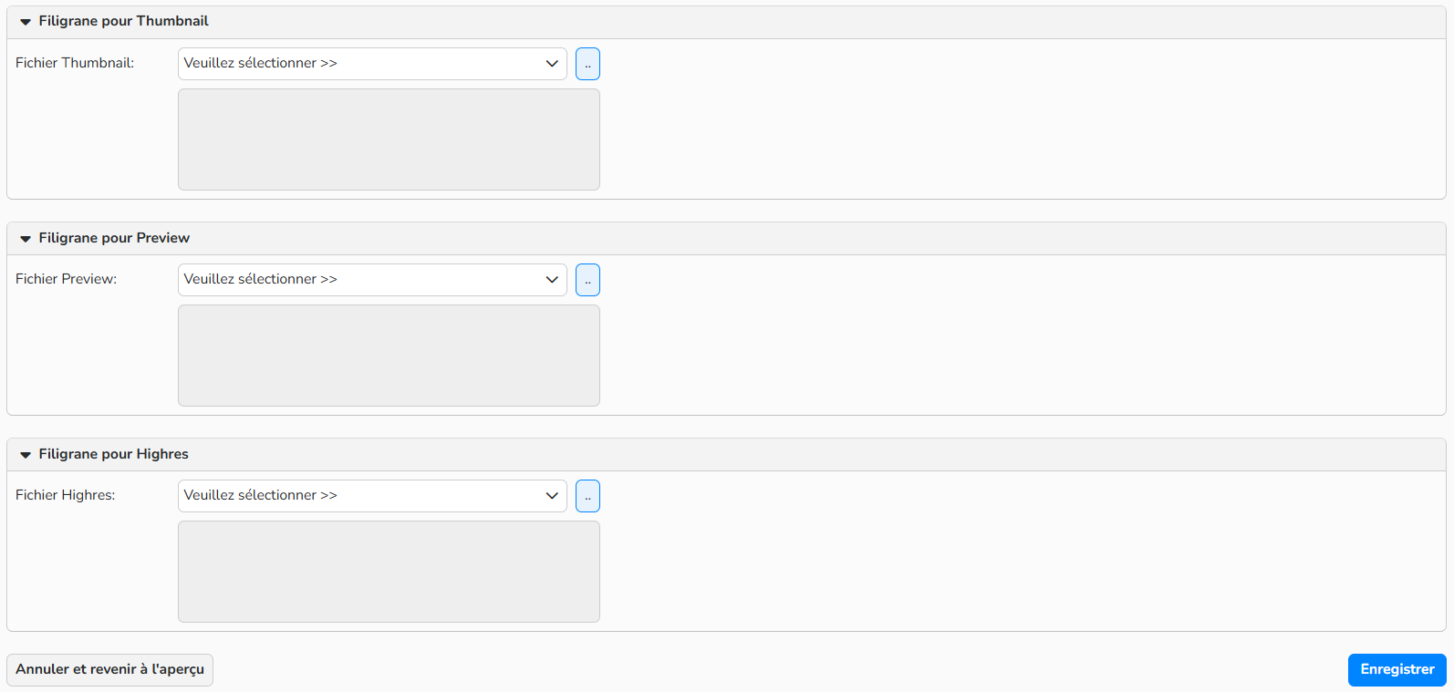 Capture d'écran montrant comment configurer le filigrane pour chaque taille d'image
