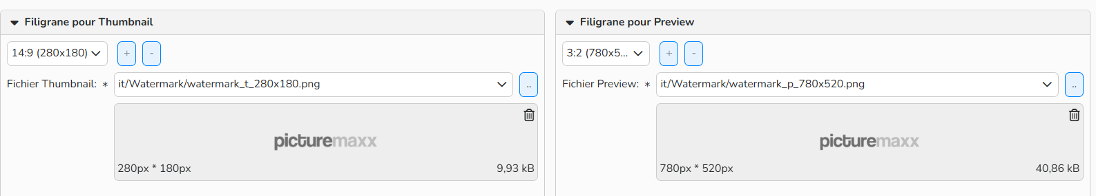Capture d'écran montrant la configuration d'un filigrane vidéo