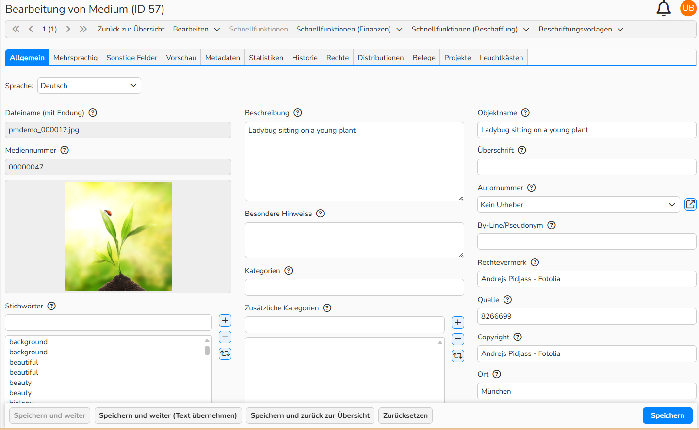 Screenshot eines Fensters zur Medienbearbeitung mit dem geöffneten Tab Allgemein, das die Standarddatenbankfelder zeigt.