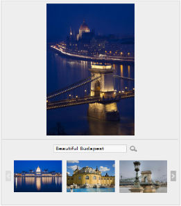 Screenshot of an image preview layout in the media editing form with the selected image preview and three thumbnails of the associated collection.