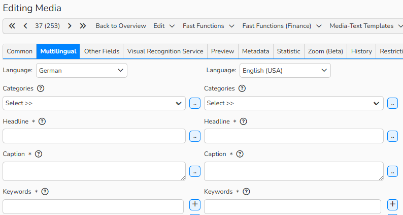 Screenshot of a Media Processing window with the Multilingual tab open, showing fields for entering data in English and German.