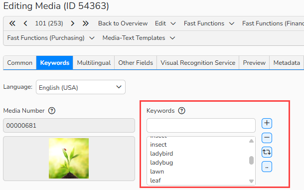 Screenshot of a Media Processing window showing a Keywords field highlighted.