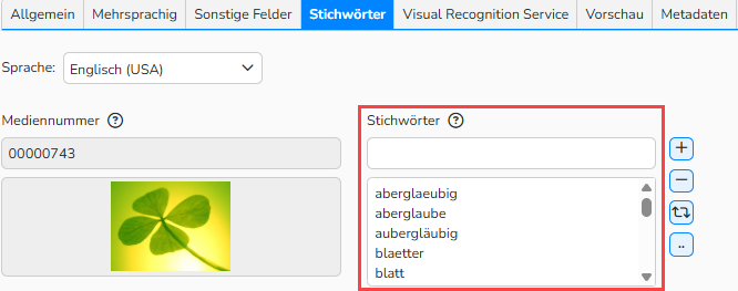 Screenshot eines Fensters zur Medienbearbeitung, in dem das Feld Stichwörter hervorgehoben ist.