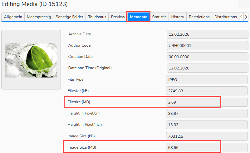 Screenshot of the Metadata tab fields. The File size and the Image size fields are highlighted to show the values can differ.