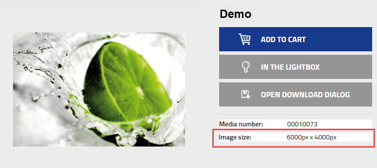 Screenshot of an image preview in Webshop. The Image size field is highlighted and displays image size in pixels.