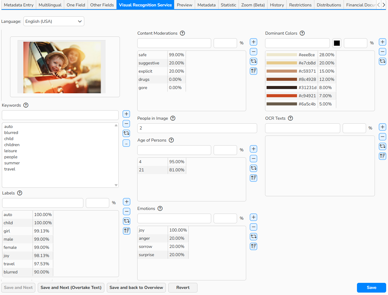 A screenshot of the Visual Recognition Service tab in Media Processing showing the fields for recognised terms containing the confidence scores.