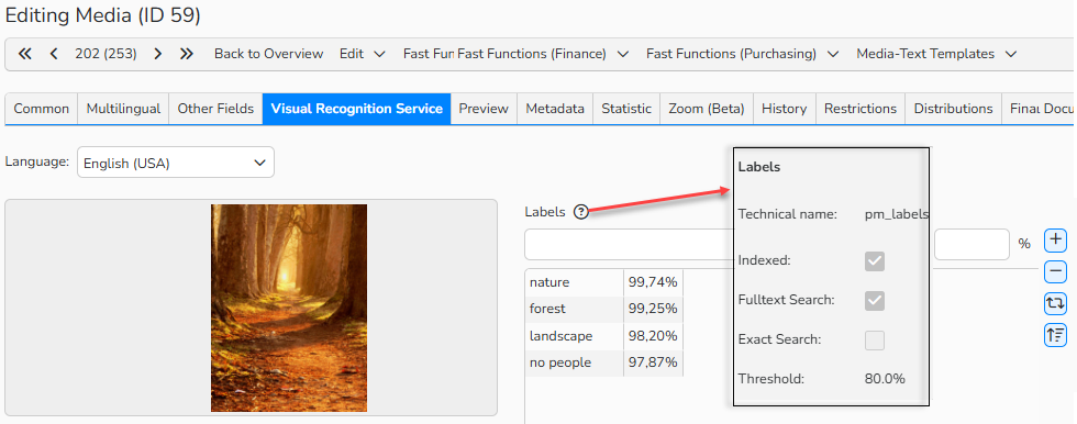 A screenshot of the Visual Recognition Service tab in media processing, showing the Labels field with the highlighted tooltip containing the confidence threshold value.