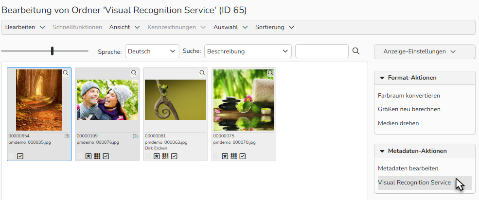 Screenshot des Ordnerfensters mit mehreren ausgewählten Bildern. Auf der rechten Seite ist das Menü Metadatenaktionen sichtbar, und die Aktion Visual Recognition Service ist hervorgehoben.
