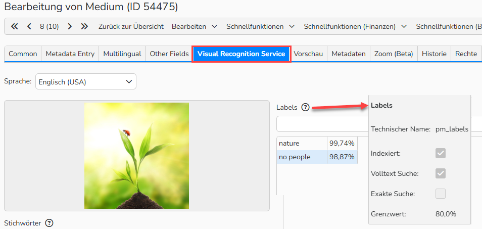 Screenshot des Tabs Visual Recognition Service in der Medienbearbeitung, auf dem das Feld Labels mit dem hervorgehobenen Tooltip zu sehen ist, der mit dem Grenzwert eine Wahrscheinlichkeitsangabe für die Treffgenauigkeit angibt.