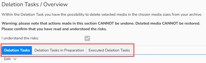 A screenshot of the Deletion Tasks Overview window showing a warning about irreversible deletion with a checkbox labeled “I understand the risks.” Three tabs are highlighted: to display all deletion tasks, tasks in progress, and executed tasks.